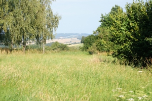 DSC00980